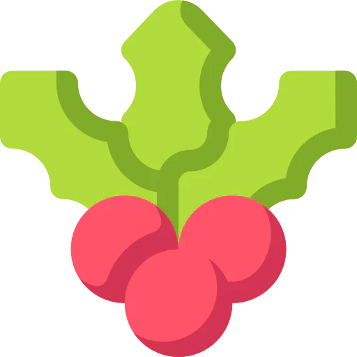 Mistletoe icon