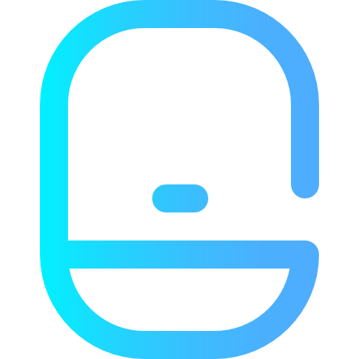 Window icon