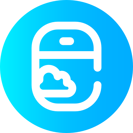 Window icon