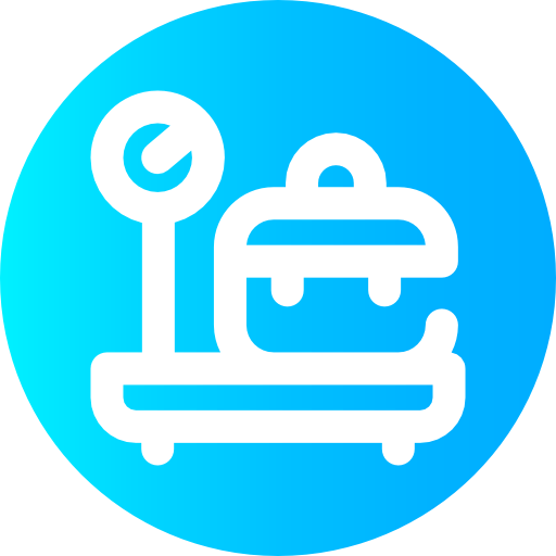 Scale icon