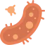 Bacteria icon 64x64