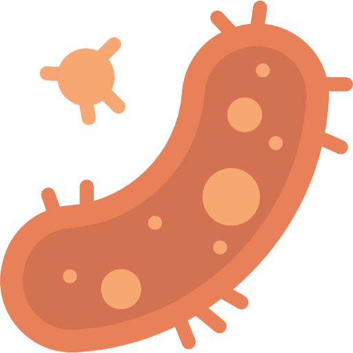 Bacteria icon