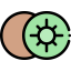 Kiwi icon 64x64