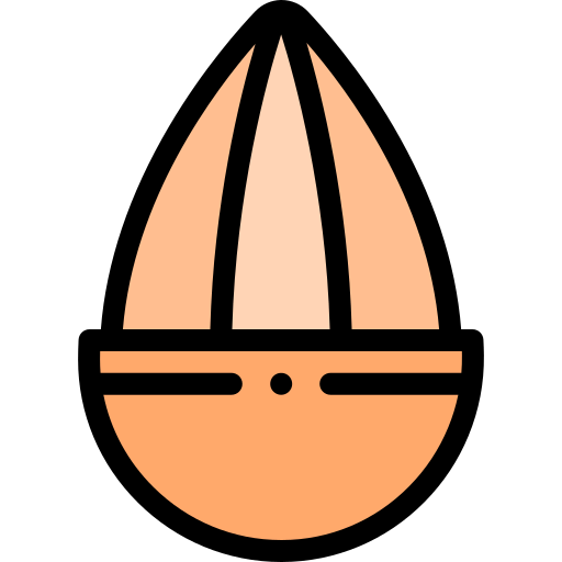 Almonds icon