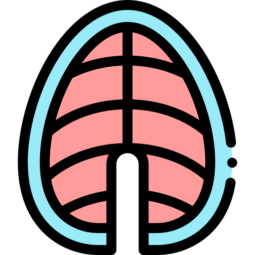 Fish icon