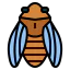 Cicada icon 64x64