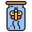 Butterfly icon 64x64