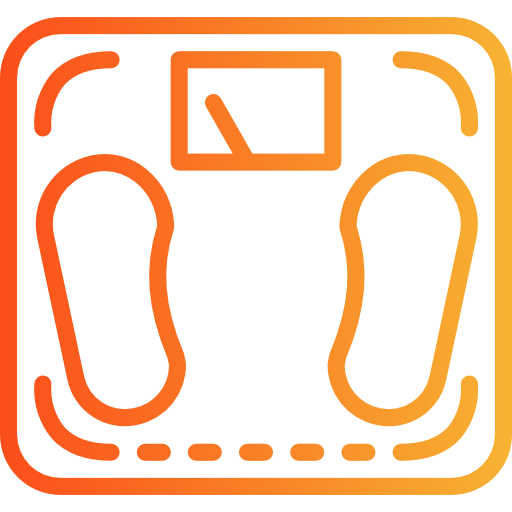 Scale icon