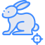 Rabbit Symbol 64x64