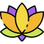 Lotus icon 64x64