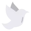Dove icon 64x64