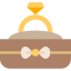 Ring icon 64x64