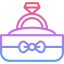 Ring icon 64x64