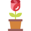 Rose icon 64x64