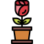 Rose icon 64x64