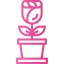 Rose icon 64x64