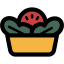 Salad icon 64x64