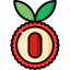 Lychee icon 64x64