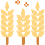 Wheat icon 64x64