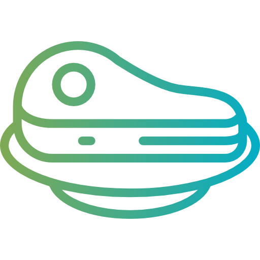 Steak icon