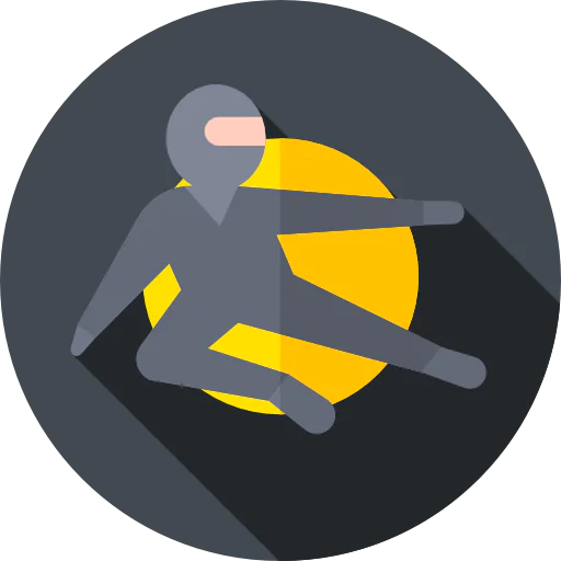 Ninja icon