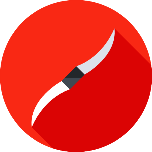 Ninja icon