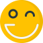 Wink icon 64x64