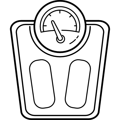 Scale icon