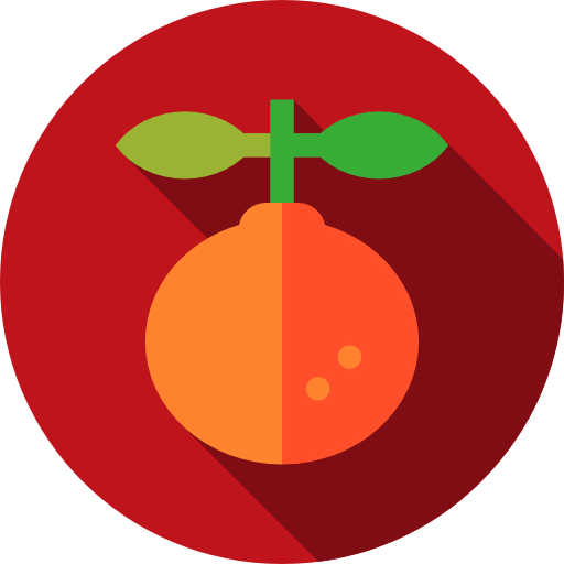Orange icon