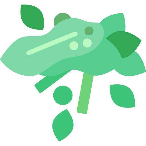 Salad icon