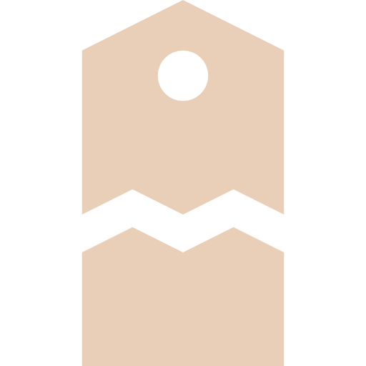 Tag icon