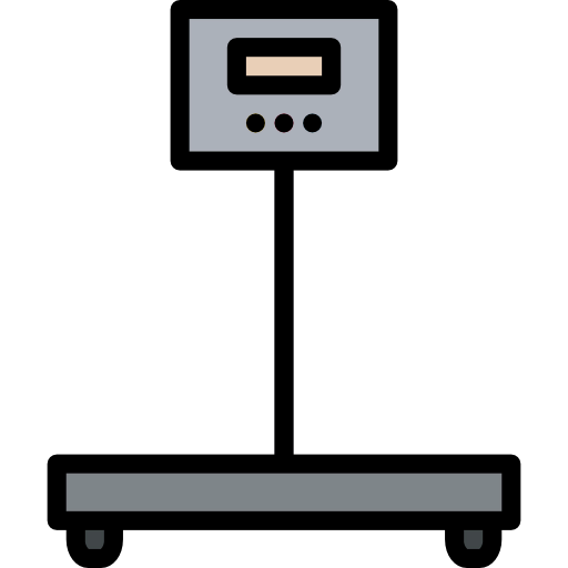 Scale icon