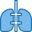 Lungs Symbol 64x64