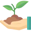 Sprout icon 64x64