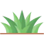 Grass icon 64x64