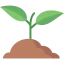 Sprout icon 64x64