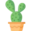 Cactus icon 64x64