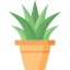 Plant icon 64x64