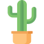 Cactus icon 64x64