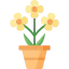 Flower icon 64x64