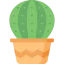 Cactus icon 64x64