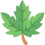 Leaf icon 64x64