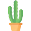 Cactus icon 64x64