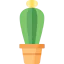 Cactus icon 64x64