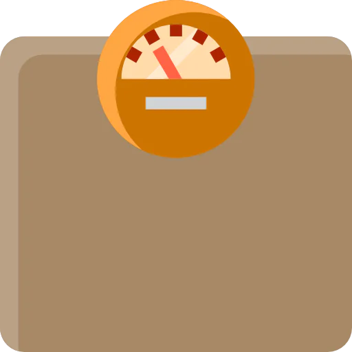 Scale icon