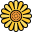 Sunflower icon 64x64