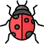 Ladybug 图标 64x64