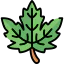 Leaf icon 64x64