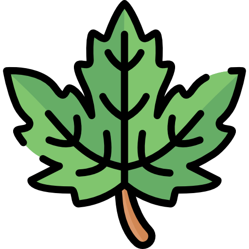 Leaf icon