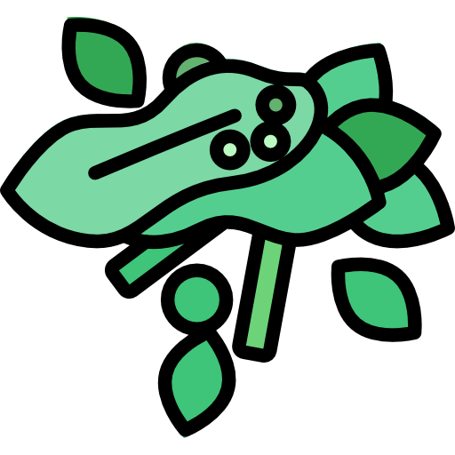 Salad icon